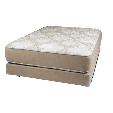 Twin Two Sided Ultra Firm Mattress and Premier Box Spring